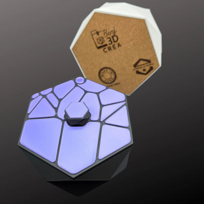 Écrin Voronoi — Sculpture de Rangement